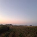보미네농장