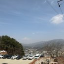 펫친구 네이버블로그
