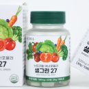 샐그린 | 뉴트리엘 샐그린27 후기, 식이섬유 유산균 챙기기 귀찮을 때 솔직 사용기