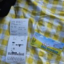 황산공원 미니기차 아기랑 피크닉 황화코스모스 개화상태