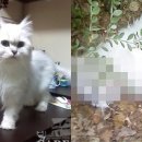 은비수산 네이버블로그