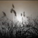 바람길목 이미지