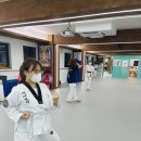 태아일체 다온태권도장 이미지