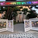 서울노량진초등학교 이미지