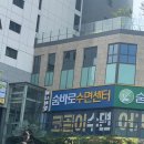 체니 네일