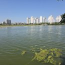 우로지 자연숲 공원(메타세쿼이아길) | 영천 여행 망정 우로지자연생태공원과 메타세쿼이아 숲길