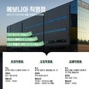 참죽나무 | 미스틱 참죽나무 4인 원목식탁 &amp; 원목의자 후기(내돈내산)