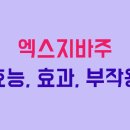 엑스코리아 유한회사 이미지