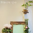 신사꽃배달 네이버블로그
