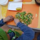 덕천초병설유치원 이미지