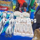 풍물편의점 | 주문진 좌판풍물시장,먹자골목 야장 /오징어회,포장,가격