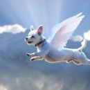 사진만들기 이미지