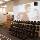 파프짐 개포 이미지