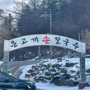 은고개손칼국수