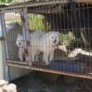 윤호농장 이미지