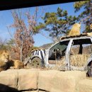 용인대 검무관 이미지