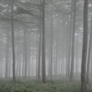 구름산책 이미지