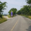 감람농장 이미지