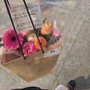 신명여자중학교 | 대구 신명여중 졸업식/졸업사진/졸업장
