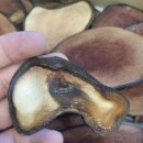 사라나라한의원 이미지