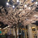 엔유피시(nuPC) 이미지