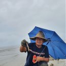 힐링의 바다 이미지