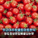 토마토마트 - 용인시 수지구 손곡로 95 | 마트에서 또 실패 없는 선택 맛군 대추방울토마토 완숙 솔직후기