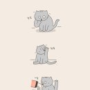 구르밍 이미지