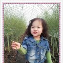 서율농장 이미지