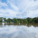 올리브영 영남대점 이미지