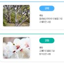 향동고등학교 | (일반고) 향동고등학교 2025 신입생 입학안내, 학교안내