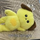 가마치통닭 지행점 | 약과 먹고, 또 먹고, 또 먹어 / 인생약과 추천 / 보령 시내 호텔 추천