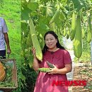 정재석농장 이미지