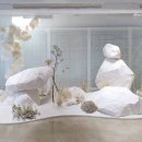 소금꽃정원 이미지