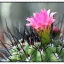 인덕목장 이미지