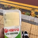 한국정통지압안마원 | 역삼동마사지 추천 더편한지압마사지안마원