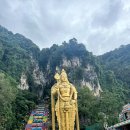 반딧불이 | 쿠알라룸푸르 인생샷 성지! 바투동굴 &amp; 낭만 가득 반딧불이 투어 솔직 후기 (내돈내산)