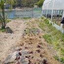 서윤농장 이미지