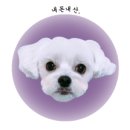 할리우독 네이버블로그