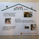 집사의 하루 건대점 | 건대 고양이카페 집사의하루 힐링가능