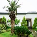 광이멀 103 이미지