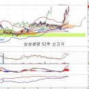 삼성생명(032830) - 금융지주사 개편 이후 이미지