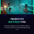 희망온천 | [가족 온천 여행지 추천] 창녕 부곡온천 가족탕 숙소 후기
