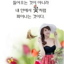 리듬이님 이미지