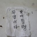 구량차리로 Daum카페