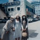 목포을지의원 네이버블로그