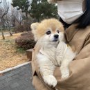 이층커피 네이버블로그