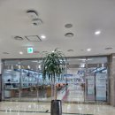 카페예스엔젤
