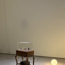 소멸의 시학: 삭는 미술에 대하여 / 데이미언 허스트 개인전)과 프로퍼 빌롱잉즈 아카이브 세일 후기