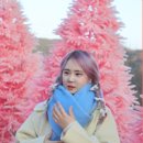 와이제이상사 이미지